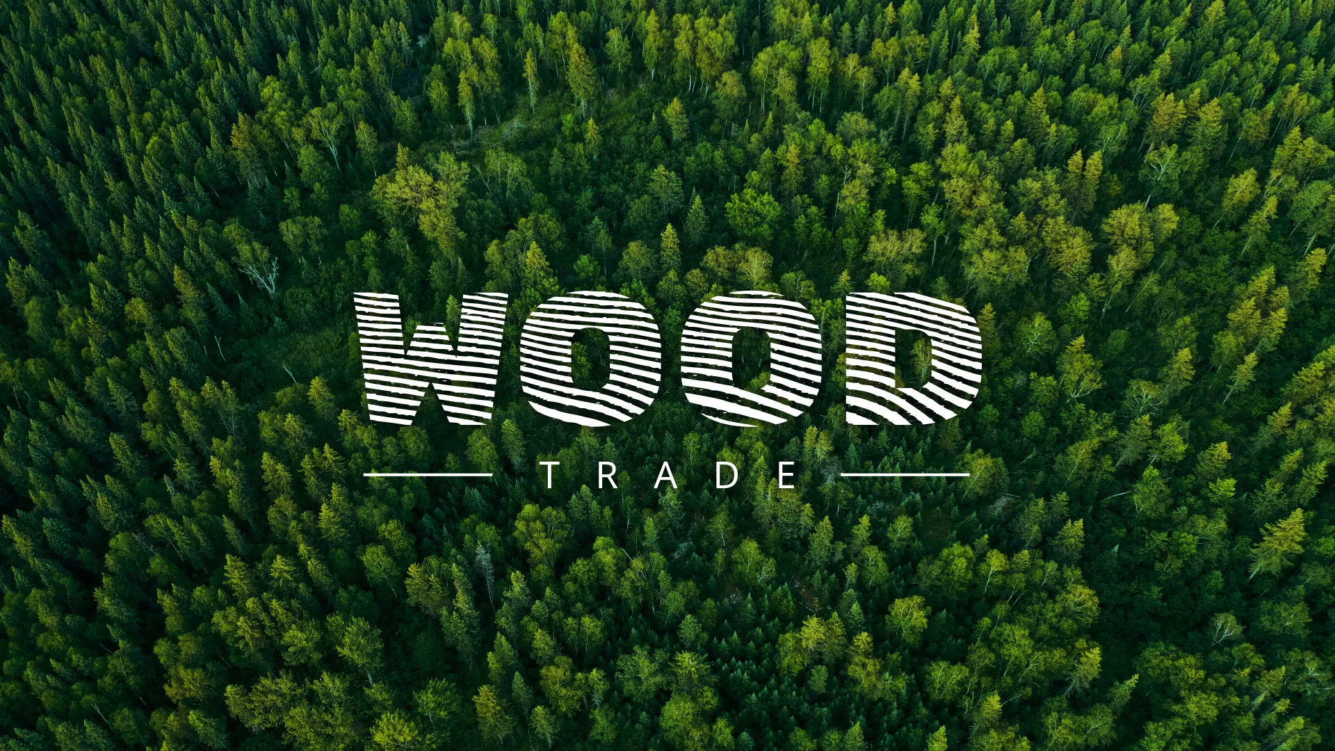 Разработка интернет-магазина компании «Wood Trade» в Озерах